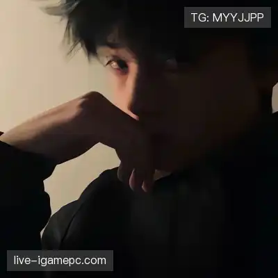 韶靓影